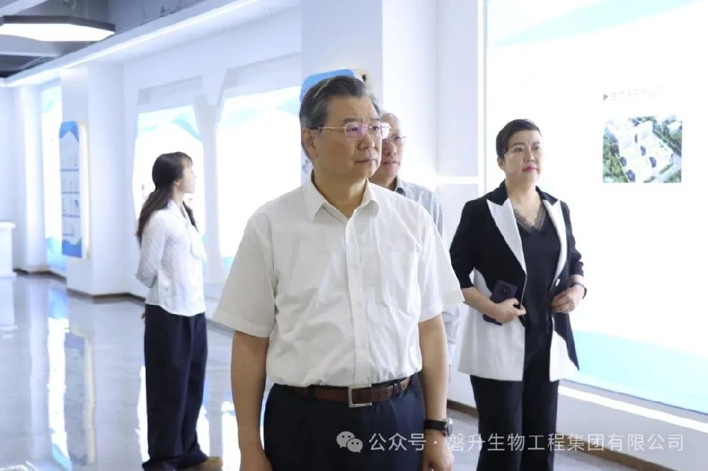 浙江省政協考察組蒞臨磐升集團調研，共話僑胞優勢，賦能開放強省建設?